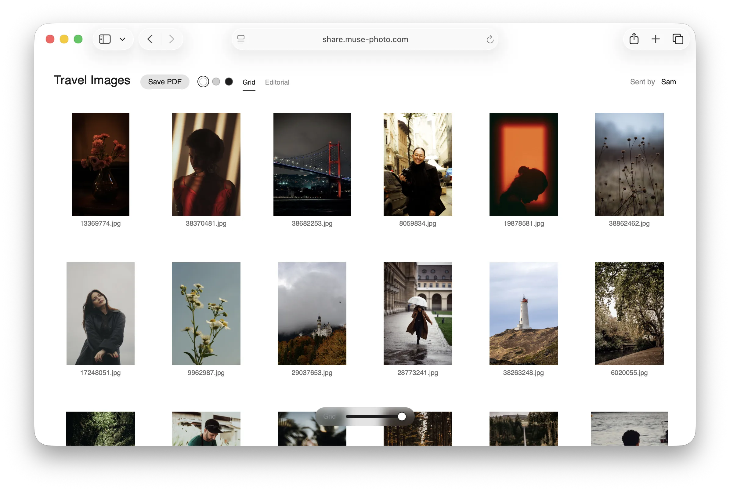 A published Luz Photo collection open in a browser — a grid of photographs with their filenames, a Save PDF button, and a background color switcher.